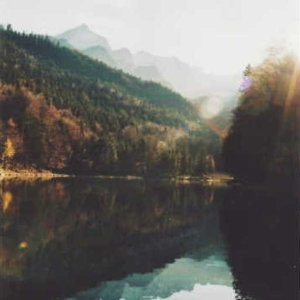 the best day (opaque)