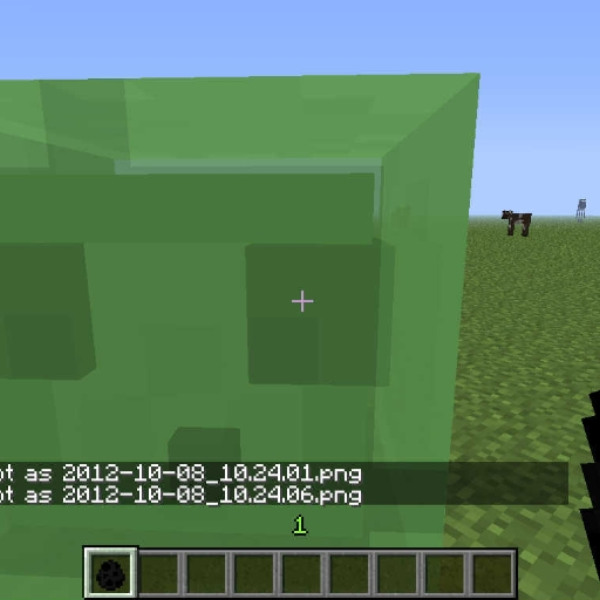 The Best Song In the World :D (enderman55 Remix)