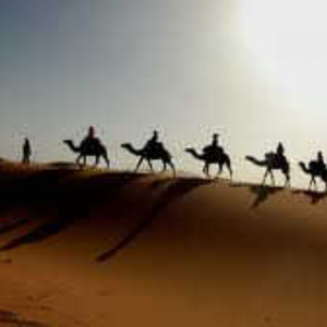 The Caravan