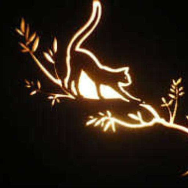 The Cat In The Night