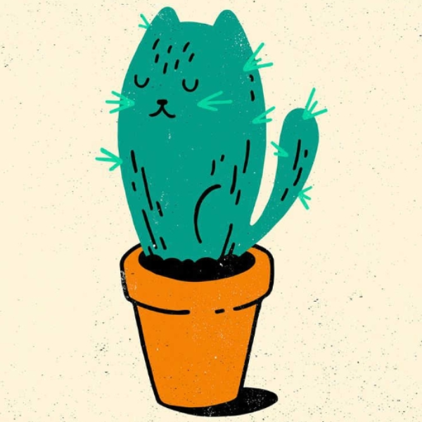 The Catcus