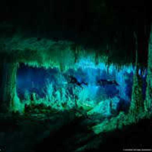 The Cavern
