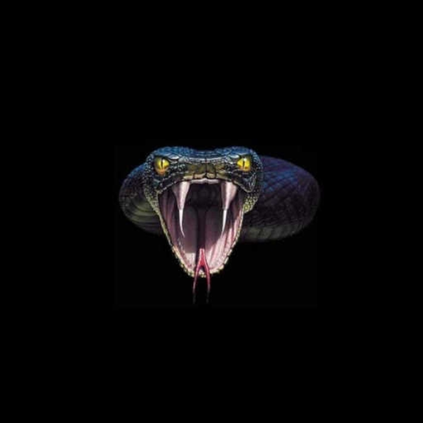 The Cobra