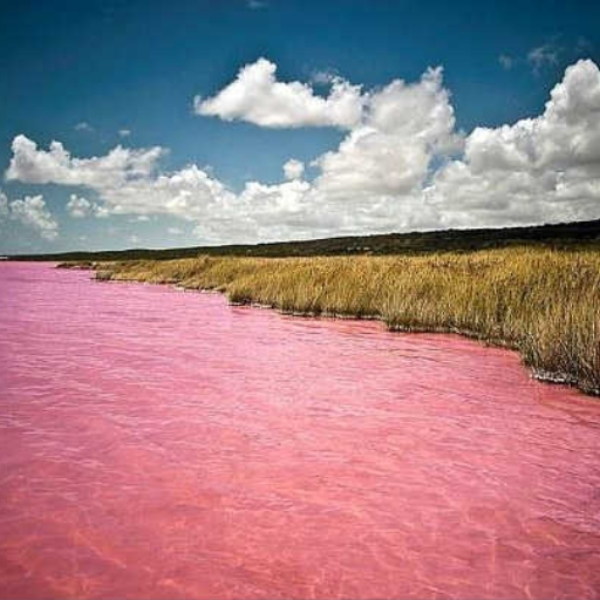 The colored lake