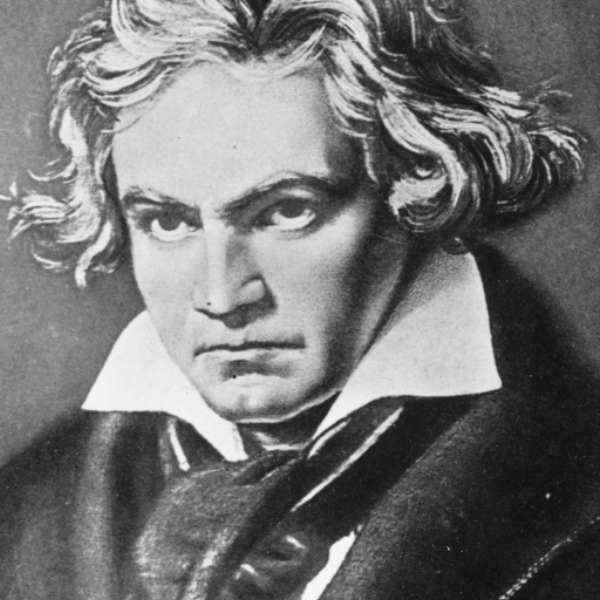 The Current Bethoven (Feat LOTS OF PEOPLE... FOLLOW THEM PLEASE)