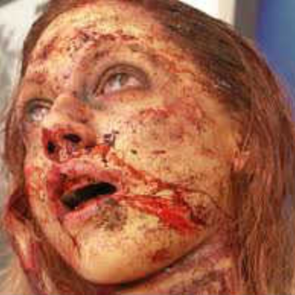The Destruction of Mary