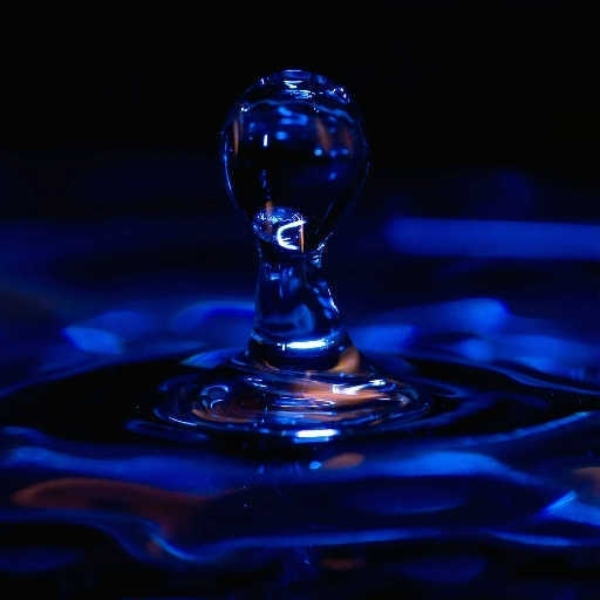 The Drop (Madonepart2)