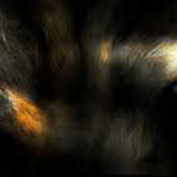 The Eyes of the beast