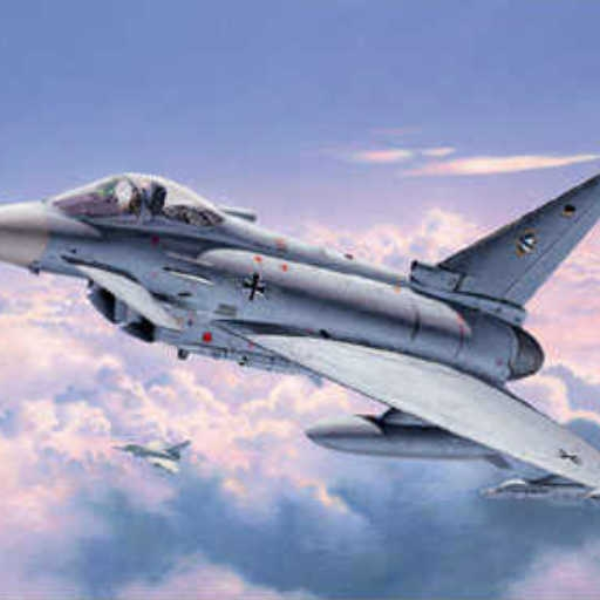 the flight