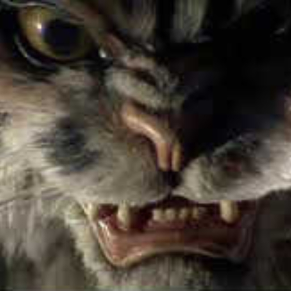The Jungle Cat