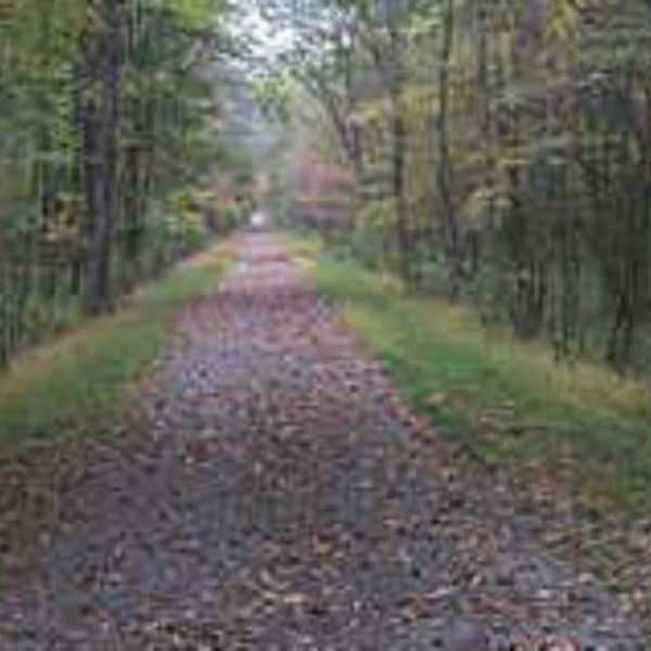 The Long way 