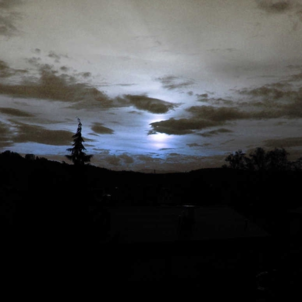 The Moonlight