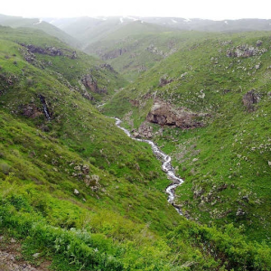 The Nature