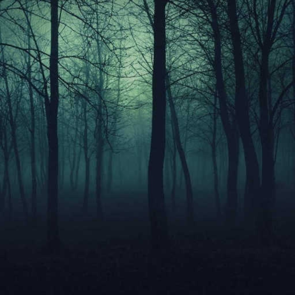 The Night (DEXTRO REMIX)