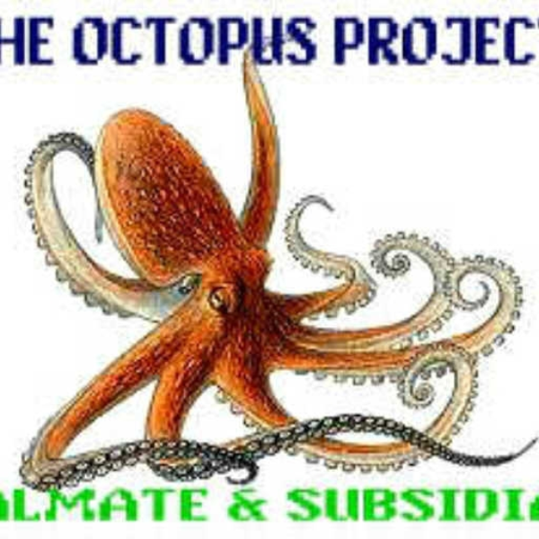 The Octopus Project