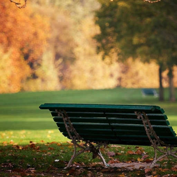 the park
