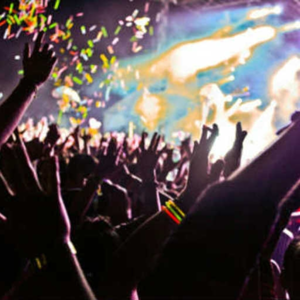 The Party Song