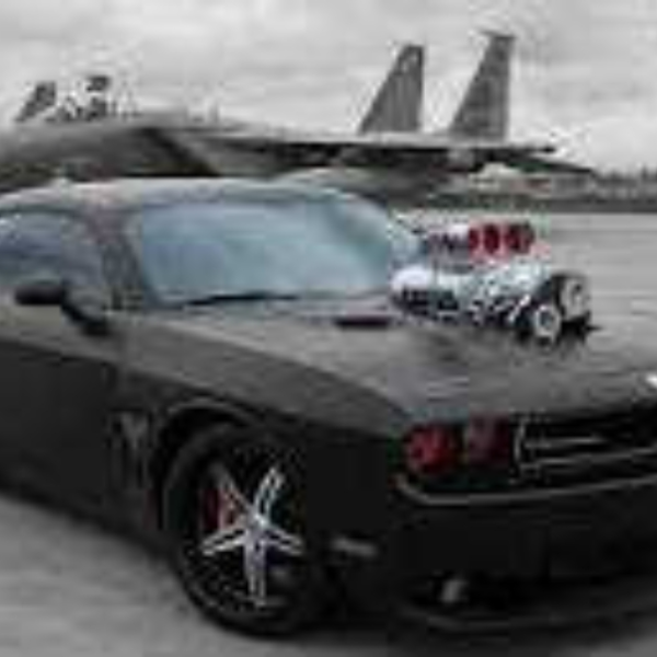 The project