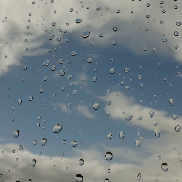 The Rain. (wip)
