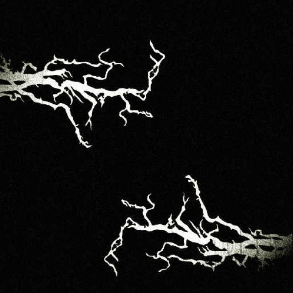 the root