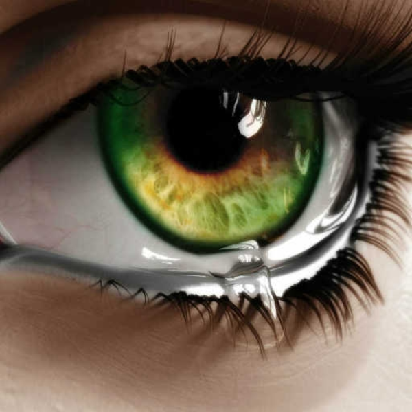 The Seeker (35 Remix