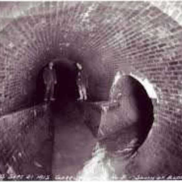 The Sewer Dub