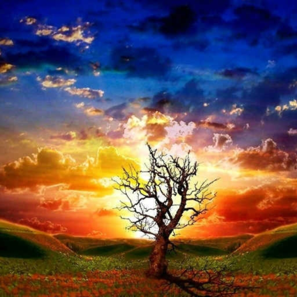 The Sky Enters Through