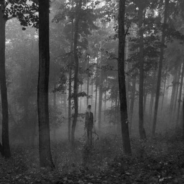 The Slenderman