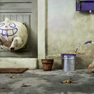 The Smiling Door