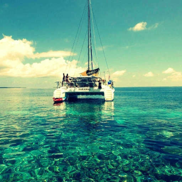the southern paradise