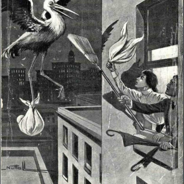The Stork Lives