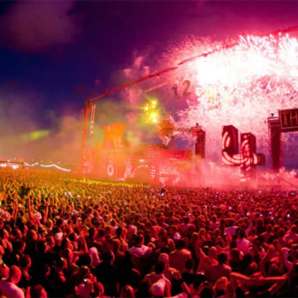 The Summer Party