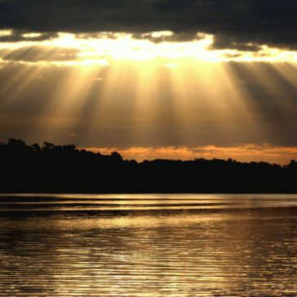 The Sunlight