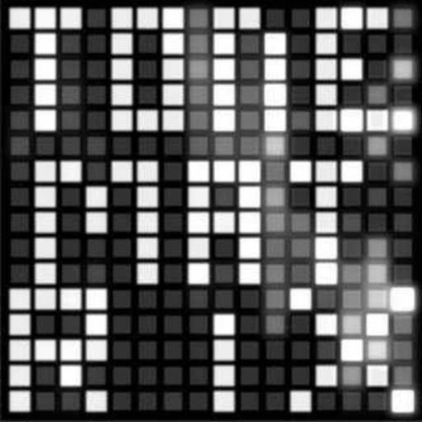the tonematrix trip ( TRBLE REMIX )