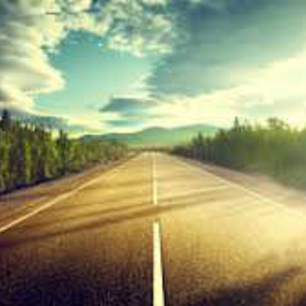 The Trip