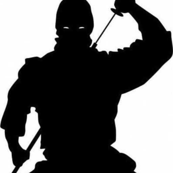Ninjitsu