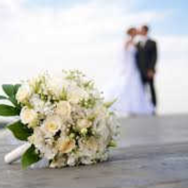 The Wedding