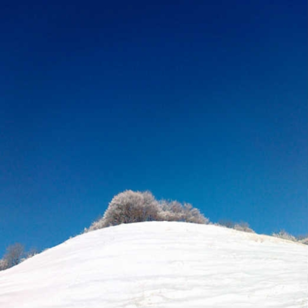 The white hill