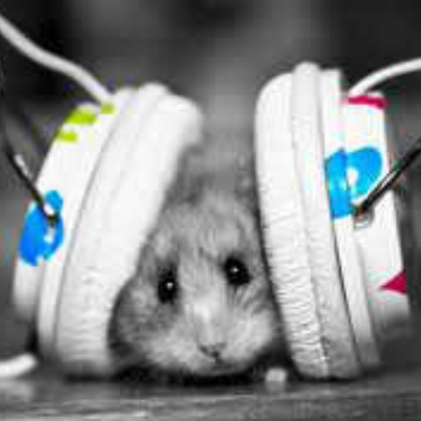 The wubs [remix contest]