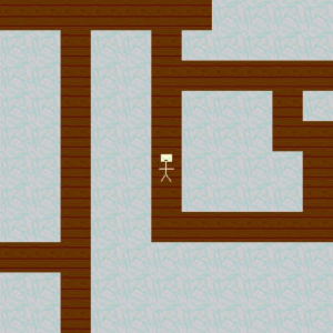 the Z maze