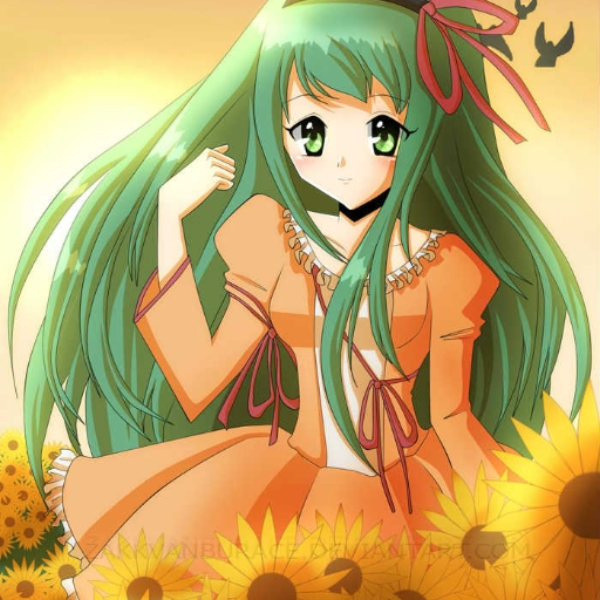 Their Sun