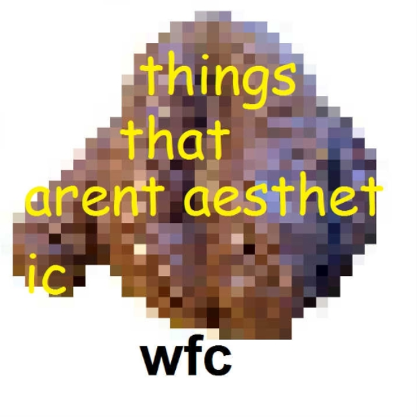 things that arent aesthetic