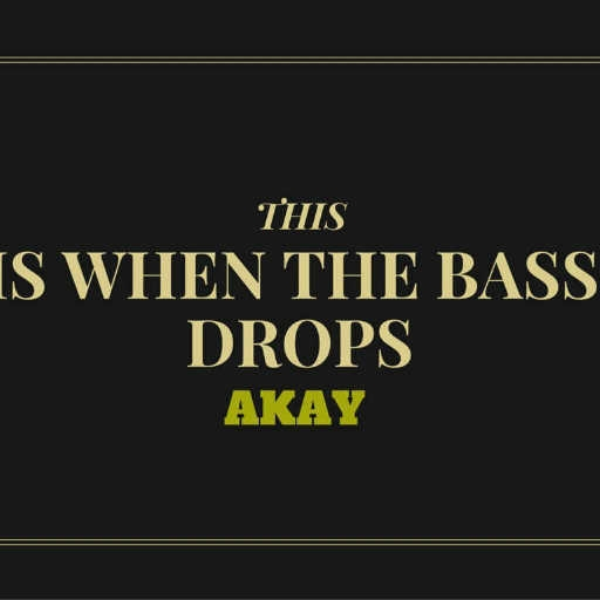 THIS IS WHEN THE BASS DROPS