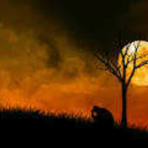 Through the darkness
