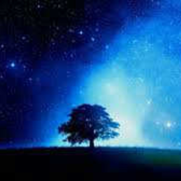 Through the Night