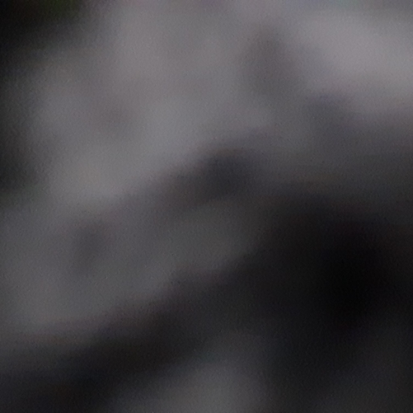 d____