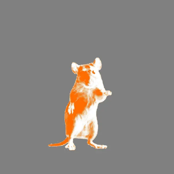 rats