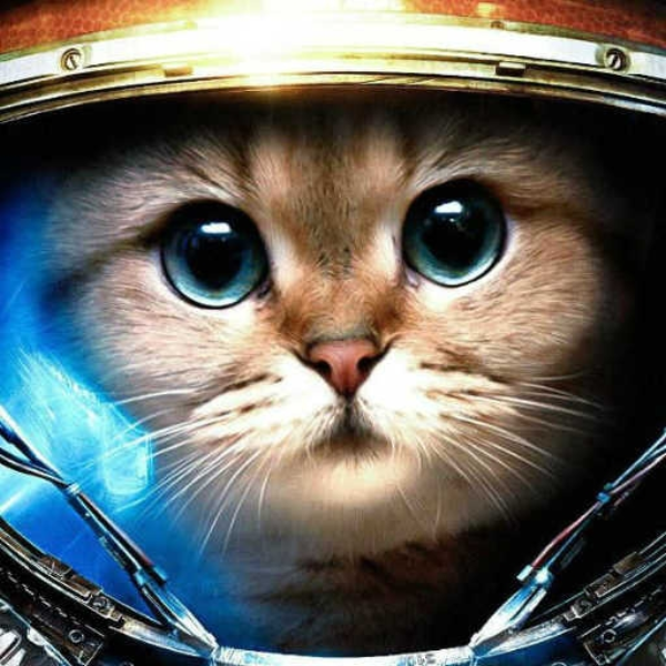 Track4 (Space Kitty's 1st Adventure)