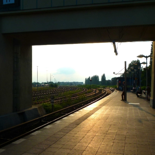 Tracks