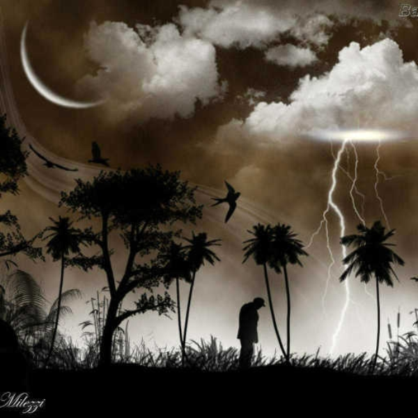 Trance da Floresta (Experiment) 2